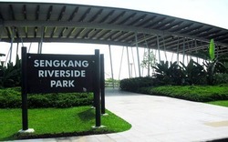 Blk 331B Anchorvale Street (Sengkang), HDB 4 Rooms #200123122